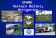 SFWMD Western Beltway Mitigation. Outline 1.Background 2.Mitigation Plan / Options 3.Future Projects / Available Funding Plants observed in Shingle Creek