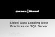 Siebel Data Loading Best Practices on SQL Server Frank Earl McBath frankmcb@microsoft.com