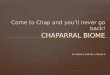 Come to Chap and you’ll never go back! CHAPARRAL BIOME CHAPARRAL BIOME BY: ROMAN Z, SATCHEL K, MEGAN D