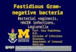 Fastidious Gram-negative bacteria Bacterial vaginosis, HACEK infections, Legionella Prof. Cary Engleberg, M.D. Division of Infectious Diseases, Department