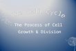 The Process of Cell Growth & Division. REVIEW – What have we learned so far?REVIEW – What have we learned so far? What makes something living? What are