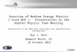 Overview of Medium Energy Physics (“Cold QCD”): Presentation to the Hadron Physics Town Meeting (Presentation to the 2007 NSAC Long Range Plan Implementation