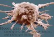 Blood, part 2 Leukocytes, Immune System Basics, and Leukocyte Disorders