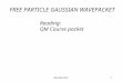 Wavepacket1 Reading: QM Course packet FREE PARTICLE GAUSSIAN WAVEPACKET