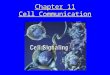 Chapter 11 Cell Communication. Cell Signaling Evolved early in the History of Life
