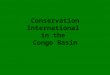 Conservation International in the Congo Basin. CI’s GLOBAL STRATEGY Hotspots: those areas with the highest biodiversity under the greatest threat (over
