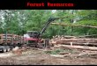 Forest Resources Clear Cutting forest harvesting that removes all trees from an area. Includes desirable AND undesirable species the land is left uncovered