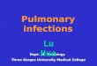 Pulmonary infections Dept. of Pathology Three Gorges University Medical College Lu Hua