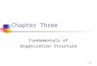 3-1 Chapter Three Fundamentals of Organization Structure