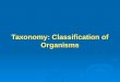 Taxonomy: Classification of Organisms. LEARNING OBJECTIVE 1 Define taxonomy & evolution Define taxonomy & evolution Explain why the assignment of a scientific
