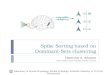 Spike Sorting based on Dominant-Sets clustering Dimitrios A. Adamos PhD Candidate School of Biology, Aristotle University 5/19/2015Laboratory of Animal