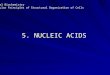 5. NUCLEIC ACIDS Medical Biochemistry Molecular Principles of Structural Organization of Cells