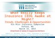 What Really Keeps Insurance CEOs Awake at Night? Trends, Challenges & Opportunities Ole Miss Insurance Symposium Oxford, MS March 19, 2015 Download at