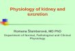 Physiology of kidney and excretion Romana Šlamberová, MD PhD Department of Normal, Pathological and Clinical Physiology