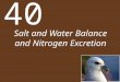 Salt and Water Balance and Nitrogen Excretion 40