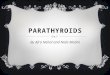 PARATHYROIDS By Afra Nehal and Nida Madni LOCATION  Parathyroid glands are 4 small glands of the endocrine system which are embedded in posterior surface