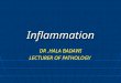 Inflammation DR.HALA BADAWI LECTURER OF PATHOLOGY