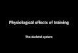 Physiological effects of training The skeletal system