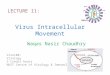 Virus Intracellular Movement LECTURE 11: Viro100: Virology 3 Credit hours NUST Centre of Virology & Immunology Waqas Nasir Chaudhry
