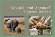 Sexual reproduction involves the fusing of two gametes. Gametes are sex cells, the sperm and the egg. The gametes carry genes, this means that an offspring