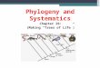 Phylogeny and Systematics Chapter 26: (Making “Trees of Life”)
