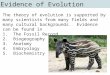 Evidence of Evolution The theory of evolution is supported by many scientists from many fields and many cultural backgrounds. Evidence can be found in