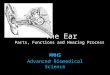 The Ear Parts, Functions and Hearing Process MMHS Advanced Biomedical Science