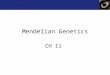 Mendelian Genetics CH 11. Question Set 1: Terms of Inheritance 1.What is a homologous chromosome? 2.What is a loci? 3.What is an allele? 4.What is a genotype?