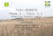 Contributor: Rothamsted Research 3 rd Annual Meeting Month 40 of 42 November 2008 TSEC-BIOSYS Theme 2 - Topic 2.2 Modelling biomass supply