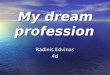 My dream profession Radinis Edvinas 4d. My dream profession is to be a plane PILOT