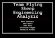 Team Flying Sheep Engineering Analysis Mark Berkobin John Nevin John Nott Christian Yaeger Michelle Rivero