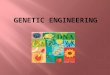 At the end of this lesson you should be able to 1. Define Genetic Engineering 2. Outline the process of genetic engineering involving some or all of the