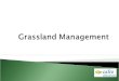 To gain an understanding of how and when grass grows and is utilised  To understand different grazing systems  To learn how to budget grass and measure