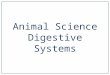 Animal Science Digestive Systems. Types of Digestive Systems Cats ChickensPigs DogsTurkeys MonogastricsRuminants Hind Gut Fermentors Beef CattleDairy