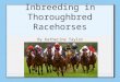 Inbreeding in Thoroughbred Racehorses By Katherine Taylor