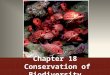 Chapter 18 Conservation of Biodiversity. How do coral reefs form?