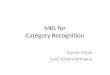 MKL for Category Recognition Kumar Srijan Syed Ahsan Ishtiaque