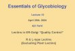 Essentials of Glycobiology Lecture 19 April 29th. 2004 Ajit Varki Lectins in ER-Golgi “Quality Control” R & L-type Lectins (Excluding Plant Lectins)