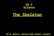 The Skeleton By M. Burton. Bettws High School, Newport KS 3 Science