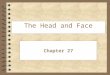 The Head and Face Chapter 27. Preventing Injuries to the Head, Face, Eyes, Ears, Nose, and Throat 4 Wearing proper protective equipment 4 Instruct proper