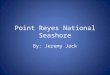 Point Reyes National Seashore By: Jeremy Jack. History of Park Point Reyes National Seashore was established by President John F. Kennedy in 1962. It