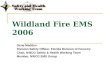 Wildland Fire EMS 2006 Gene Madden Division Safety Officer, Florida Division of Forestry Chair, NWCG Safety & Health Working Team Member, NWCG EMS Group