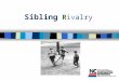 Sibling R i v a l r y. Program Objectives n Parents will understand reasons for sibling rivalry n Parents will learn about ways to reduce fighting among