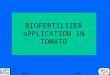 BIOFERTILIZER aPPLICATION IN TOMATO EndNext. INTRODUCTION Biofertilizers are applied as seed coating, seedling root dip and soil application method. The