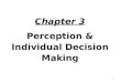 1 Chapter 3 Perception & Individual Decision Making