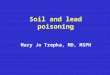 Soil and lead poisoning Mary Jo Trepka, MD, MSPH