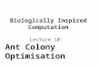 Biologically Inspired Computation Lecture 10: Ant Colony Optimisation