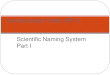 Scientific Naming System Part I Nomenclature Video AP1.3