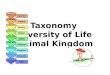 Taxonomy Diversity of Life Animal Kingdom. Questions about Kingdoms ? 1.What are the kingdoms of life? 2.Which kingdom(s) is/are single celled? 3.Which