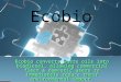 Ecobio converts waste oils into biodiesel, allowing commercial fleet & domestic users to immediately reduce their environmental impact